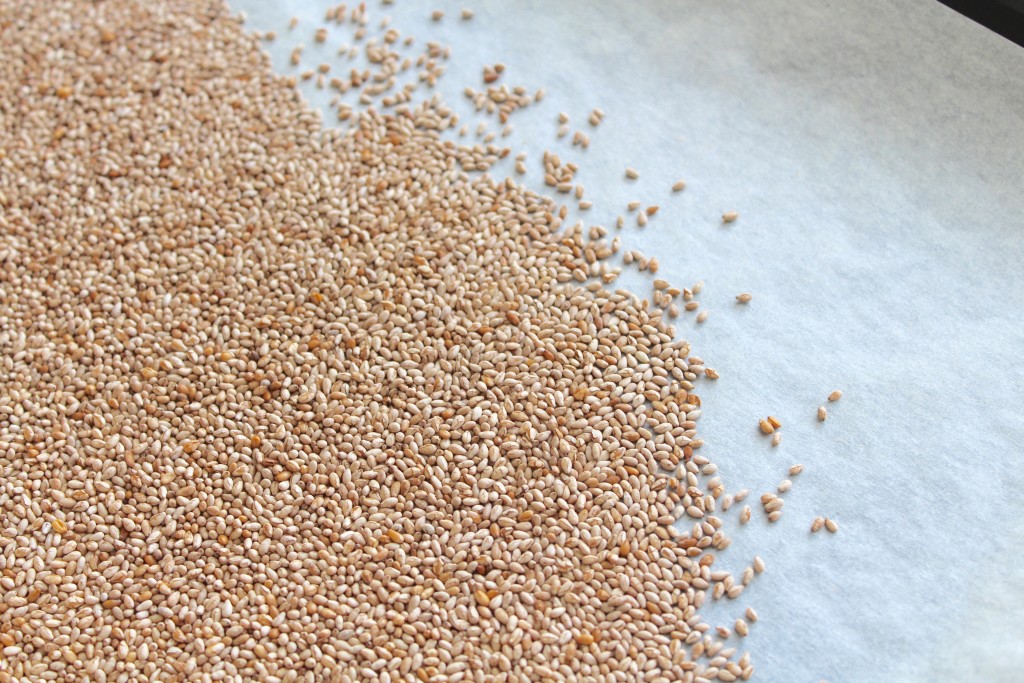 How to toast Sesame seeds